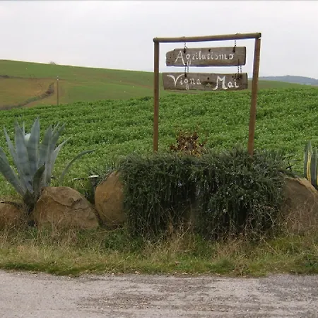 Vigna Mai Agroturismo Magliano in Toscana