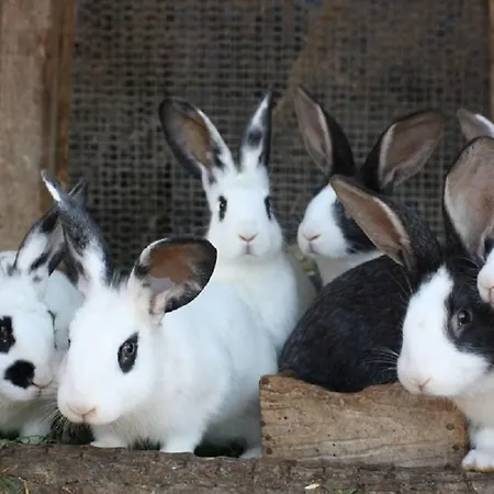 Agroturismo Vigna Mai