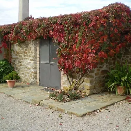 Agroturismo Vigna Mai Magliano in Toscana