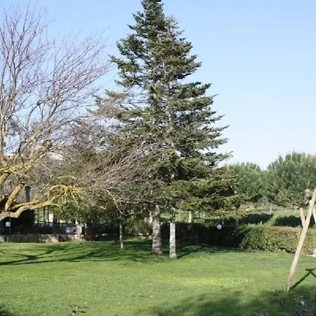 Vigna Mai * Magliano in Toscana