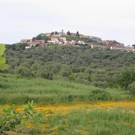 Vigna Mai Farm stay