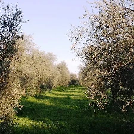 Vigna Mai Farm stay Magliano in Toscana