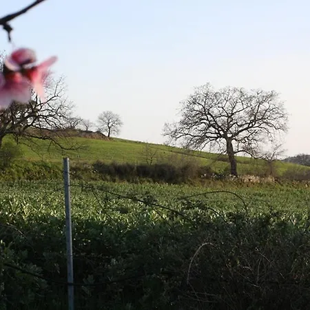 Farm stay Vigna Mai