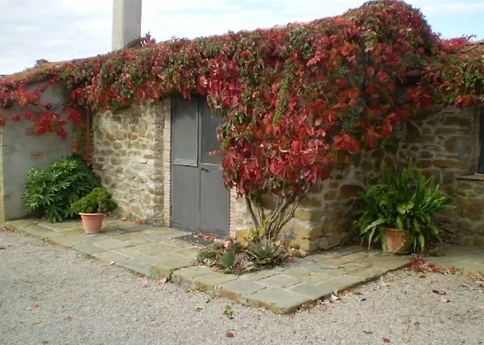 Feriegård Vigna Mai Magliano in Toscana