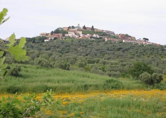 Vigna Mai Feriegård